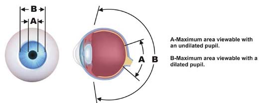 Eye Dilation
